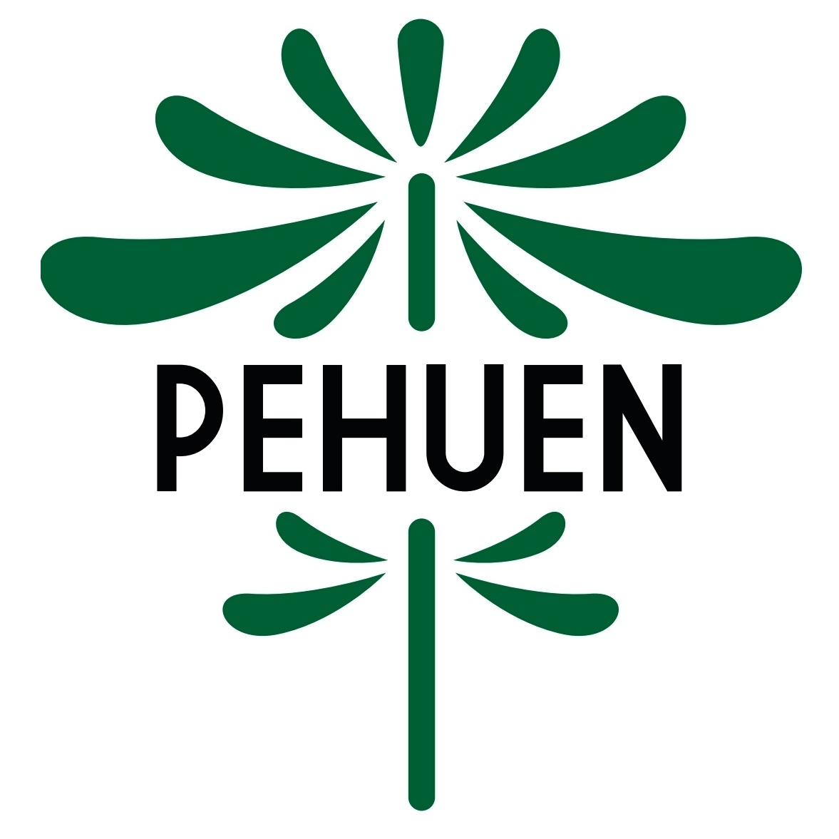 Club Social Pehuén